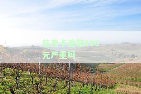 信用卡逾期200元严重吗-信用卡逾期200元严重吗知乎