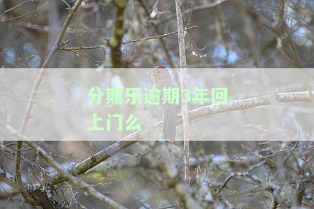 分期乐逾期3年回上门么-分期乐逾期3年不还到时候还会翻倍吗