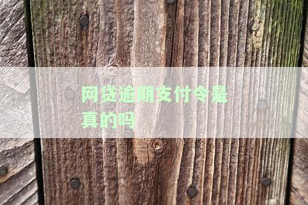 网贷逾期支付令，逾期还款警告：网贷平台发出支付令催收欠款