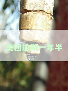 美团逾期半年了还上钱后还能借出来吗，美团借款逾期半年，还款后能否再次申请？