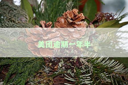 美团逾期一年可以找客服协商只还本金吗，美团逾期一年，能否通过客服协商只还本金？