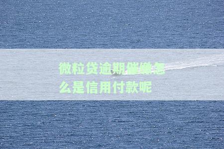 微粒贷逾期为什么从我其他账户扣了200多块钱，微粒贷逾期：为何从我的其他账户扣除了200多元？