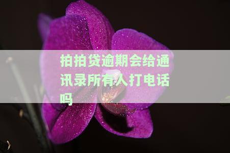 拍拍贷逾期会给通讯录所有人打电话吗安全吗，警惕！拍拍贷逾期是否真的会拨打通讯录所有人的电话？安全性如何？