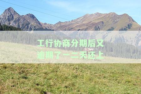 工行协商分期还款：有无减免？征信如何显示？