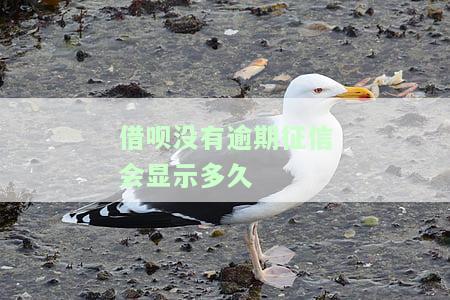 借呗未逾期是否影响信用？探讨其可能的影响因素