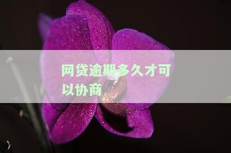 网贷逾期多久才可以协商分期还款，如何与网贷平台协商分期还款？逾期时间限制解析