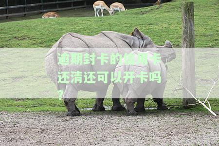 逾期封卡的信用卡还清后能否再开卡？安全性如何？