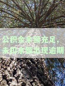 住房公积金余额不足未扣款，如何解决？