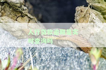 人行贷款逾期是实时查询吗-人行贷款逾期是实时查询吗怎么查