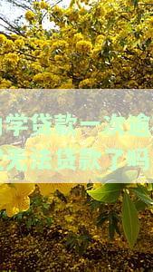 助学贷款一次逾期是否会导致无法再次贷款？知乎上有相关讨论吗？