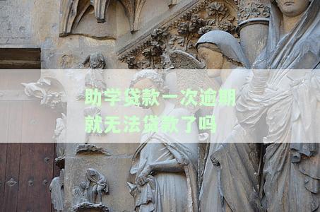 助学贷款有一次逾期，如何处理？