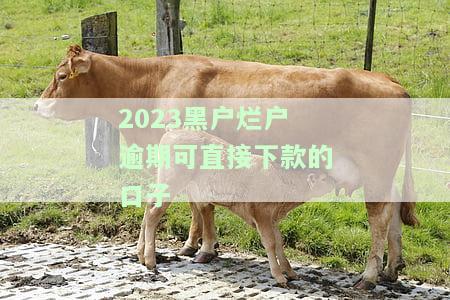 2023黑户烂户逾期可直接下款的口子-黑户烂户有逾期能下的口子
