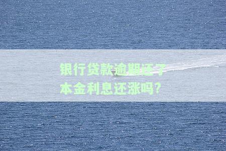 银行贷款逾期还了本金利息是否继续上涨？解决方案是什么？