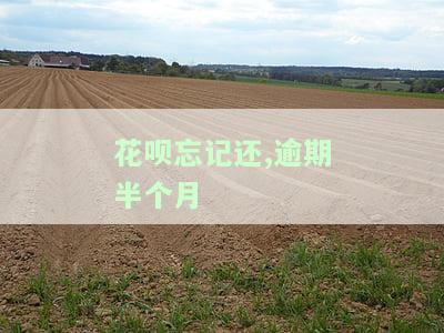 花呗忘记还，逾期半个月的影响：会不会影响征信？