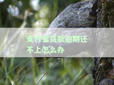 支付宝贷款还不上是否会坐牢？真有此风险吗？