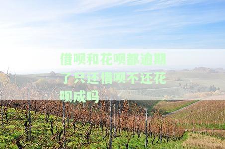 借呗逾期了,花呗都按时还款,花呗会被冻结吗？
