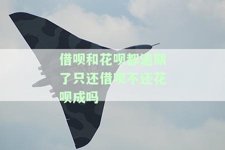 借呗和花呗逾期了把花呗还了还能用花呗吗，花呗逾期后还款，借呗能否继续使用？