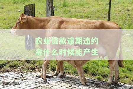 农业贷款逾期怎么办，解决农业贷款逾期问题的有效方法
