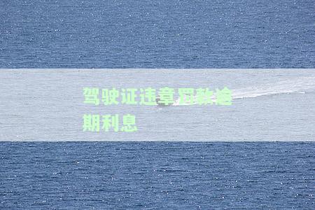 驾驶证违章罚款逾期利息