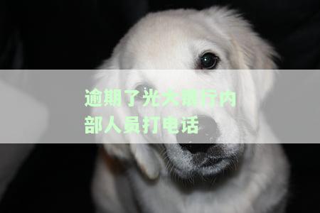 光大银行逾期半年催收部打电话说要上诉：真的吗？如何应对？