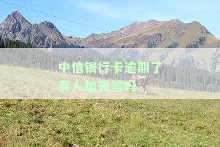 中信银行如果逾期了不还会给家人打电话吗，中信银行：逾期未还款是否会通知家人？
