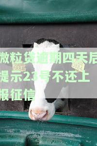 微粒贷逾期四天说半小时之内不还款就准备全额还款，微粒贷逾期4天，客服警告半小时内不还需全额还款