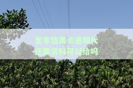 坐牢信用卡逾期代还要资料可以给吗