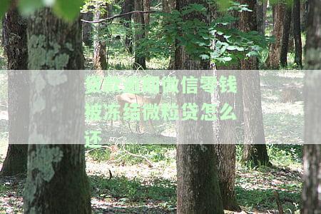微粒贷逾期微信号无缘无故被冻结，微信公众号遭冻结，疑因微粒贷逾期引发