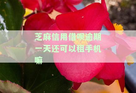 芝麻信用借呗逾期一天还可以租手机嘛-芝麻信用借呗逾期一天还可以租手机嘛