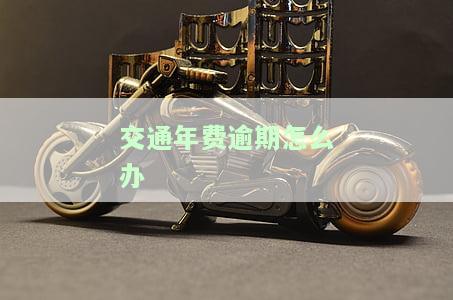 交通年费达标哪里看，如何查看交通年费是否达标？