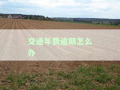 交通费年报填在哪里，如何填写交通费年报？