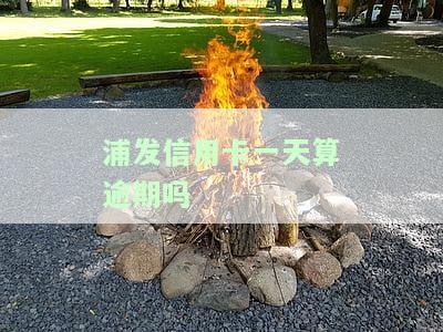 浦发信用卡逾期1天会怎样？怎么办理还款？