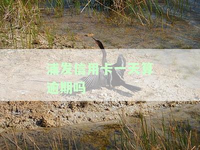浦发信用卡一天算逾期吗还是逾期，浦发信用卡逾期：一天算逾期吗？