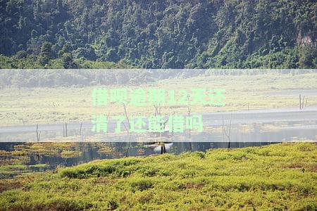 借呗逾期12天还清了还能借吗-借呗逾期12天了还款还可以在再借出来吗?