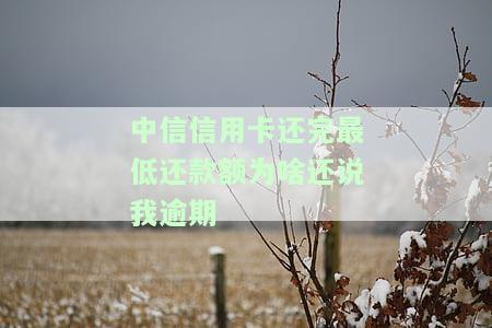 为什么中信银行信用卡最低还款后仍被扣款？扣款失败的原因是什么？