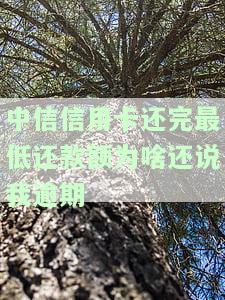 中信信用卡还完最低还款额为啥还说我逾期