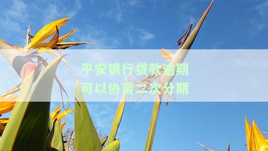 平安逾期了可以申请对剩余的再分期还吗，平安逾期后，能否申请再分期还款？