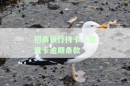 2021年招商信用卡逾期新法规解读