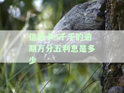 三万五信用卡逾期利息多少，计算三万五元信用卡逾期的利息，你需要知道的关键信息