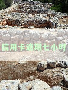 信用卡100块逾期七天：后果及解决方案