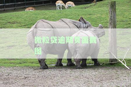 微粒贷逾期界面全解：外观、位置及操作指南