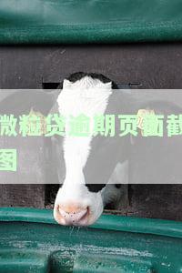 微粒贷逾期信息怎么说，详解微粒贷逾期信息：如何正确处理和解决