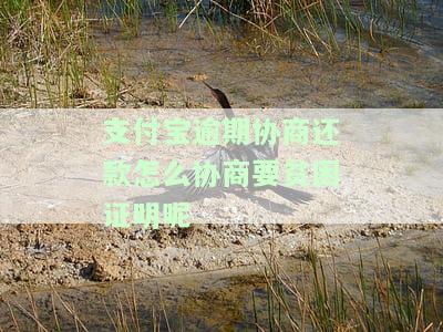 支付宝逾期协商还款如何提供贫困证明？