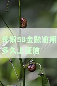 长银58金融逾期多久会上征信？如何查询？