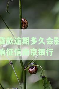 贷款逾期多久会影响征信南京银行