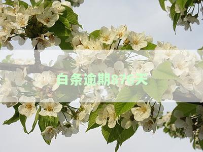 白条逾期多少天会起诉，逾期还款多久会被银行起诉？——以'白条逾期多少天会起诉'为例