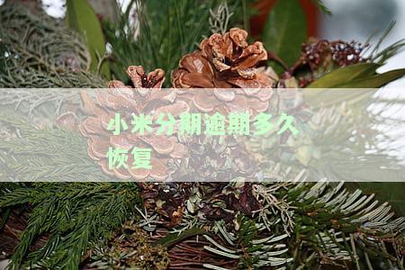 小米分期逾期多久恢复正常，小米分期逾期多久能够恢复正常？