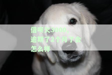 借呗欠3000,逾期了2个月了会怎么样呢，逾期2个月，借呗欠款3000元的后果是什么？