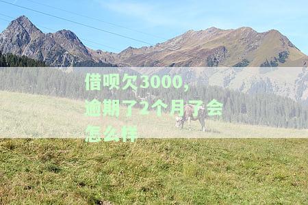 借呗2000逾期三个月会怎么样，逾期三个月，借呗2000会产生什么后果？