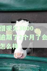 借呗欠了3000块钱,逾期了800天，逾期800天，借呗欠款达3000元：应对逾期的策略与建议
